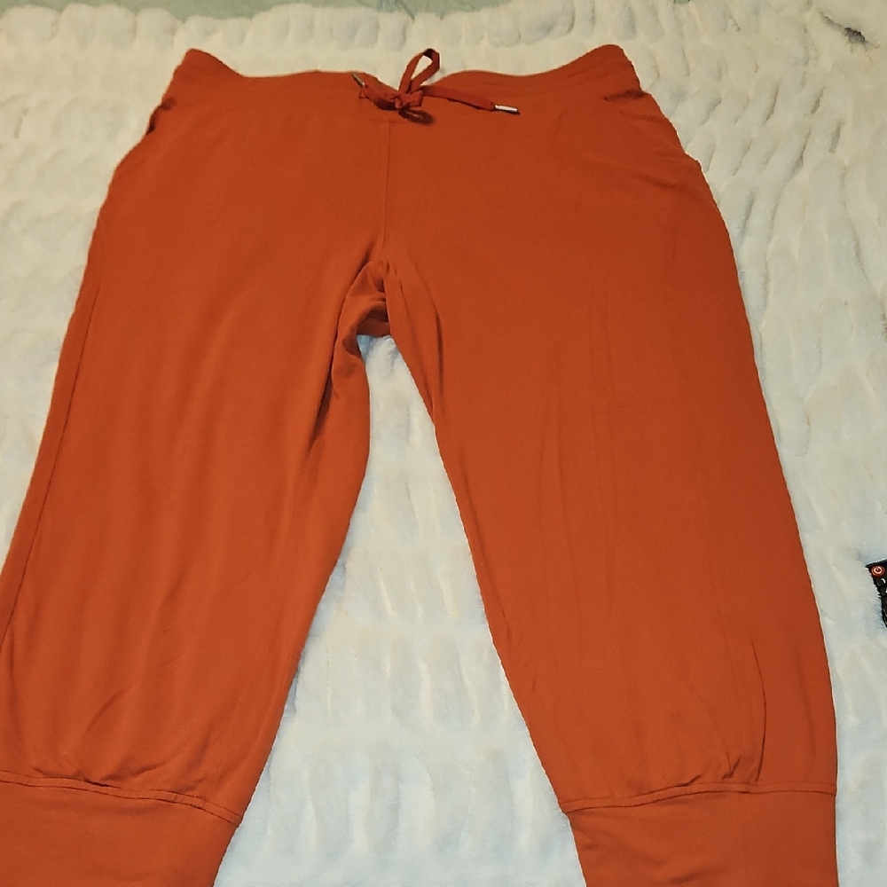 Womens Rust Lululemon Joggers 14